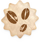 coffee-bean-icon2.png